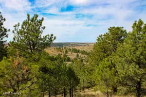 Tract C-2 Broad Axe Rd, Gillette, WY 82716 - #1
