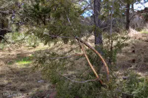 Tract C-2 Broad Axe Rd, Gillette, WY 82716 - #2