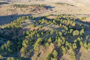 Tract D-1 Broad Axe Rd, Gillette, WY 82716