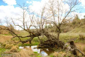 Tract D-7 Broad Axe Rd, Gillette, WY 82716