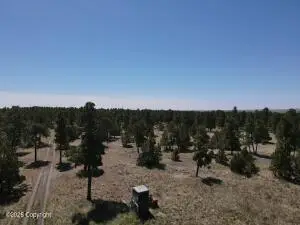Tbd Pine Avenue, Upton, WY 82730 - #2