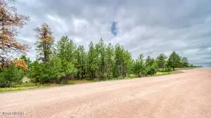 4 Freedom Drive E, Pine Haven, WY 82721