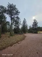 1996 Ash St, Upton, WY 82730 - #2