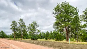 10 Freedom Drive W, Pine Haven, WY 82721