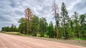 10 Pine Crest Drive, Pine Haven, WY 82721