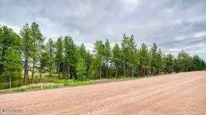 12 Freedom Drive E, Pine Haven, WY 82721