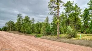 13 Freedom Drive W, Pine Haven, WY 82721 - #1