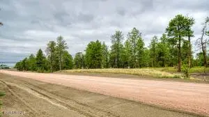13 Pine Crest Drive, Pine Haven, WY 82721 - #2
