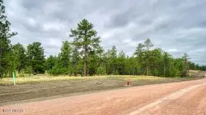 14 Freedom Drive W, Pine Haven, WY 82721 - #2