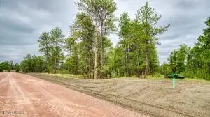 17 Freedom Drive W, Pine Haven, WY 82721