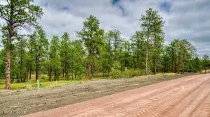17 Freedom Drive W, Pine Haven, WY 82721 - #2