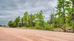 17 Pine Crest Drive, Pine Haven, WY 82721 - #2