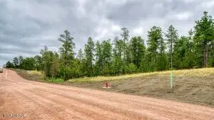 18 Freedom Drive W, Pine Haven, WY 82721 - #1