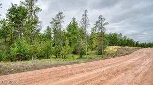 18 Freedom Drive W, Pine Haven, WY 82721 - #2
