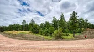20/26 Pine Crest Drive, Pine Haven, WY 82721 - #3