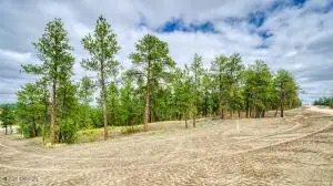 21 Freedom Drive W, Pine Haven, WY 82721 - #2