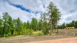 21 Freedom Drive W, Pine Haven, WY 82721 - #3