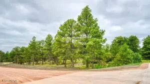 3 Freedom Drive W, Pine Haven, WY 82721