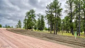 4 Pine Crest Drive, Pine Haven, WY 82721 - #1