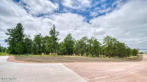 4 Pine Crest Drive, Pine Haven, WY 82721 - #2