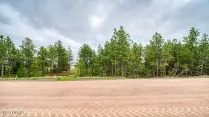 8 Freedom Drive E, Pine Haven, WY 82721 - #1