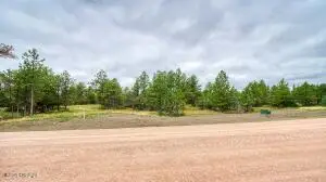 9 Freedom Drive E, Pine Haven, WY 82721