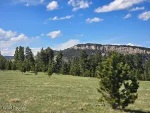 Tbd Yarrow Rd, Buffalo, WY 82834 - #3