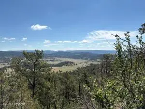 Tbd Homestead Road, Newcastle, WY 82701 - #2