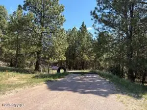 Tbd Homestead Road, Newcastle, WY 82701 - #3