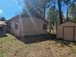 24 Cottonwood Ln, Story, WY 82842 - #3