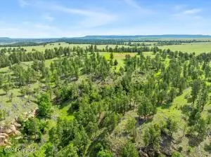 Tract 9 River Road, Hulett, WY 82720 - #2