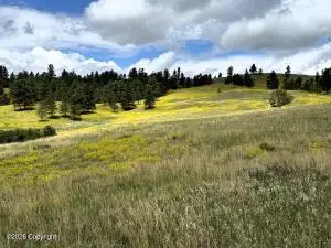 Tbd Tower Ridge Road, Devils Tower, WY 82714