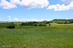 Tract 4 Bay Mountain Rd., Hulett, WY 82720
