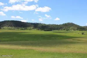 Tract 4 Bay Mountain Rd., Hulett, WY 82720 - #3