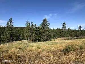 Tract 12 Black Bear Road, Hulett, WY 82720 - #1