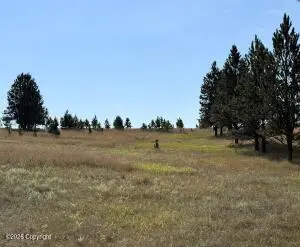 Tract 12 Black Bear Road, Hulett, WY 82720 - #3