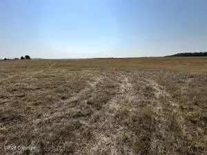 Tract 17 Black Bear Road, Hulett, WY 82720 - #2