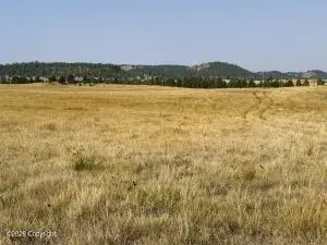 Tract 17 Black Bear Road, Hulett, WY 82720 - #3