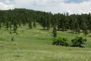 500 Mason Creek, Sundance, WY 82729 - #2