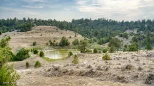 356 Jack Smith Rd, Rozet, WY 82727 - #2