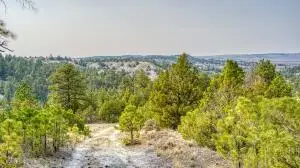 356 Jack Smith Rd, Rozet, WY 82727 - #3