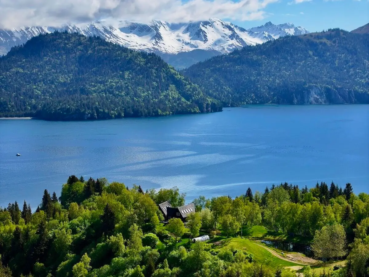 46514 Sidelinger Trail, Halibut Cove, AK 99603 - #1