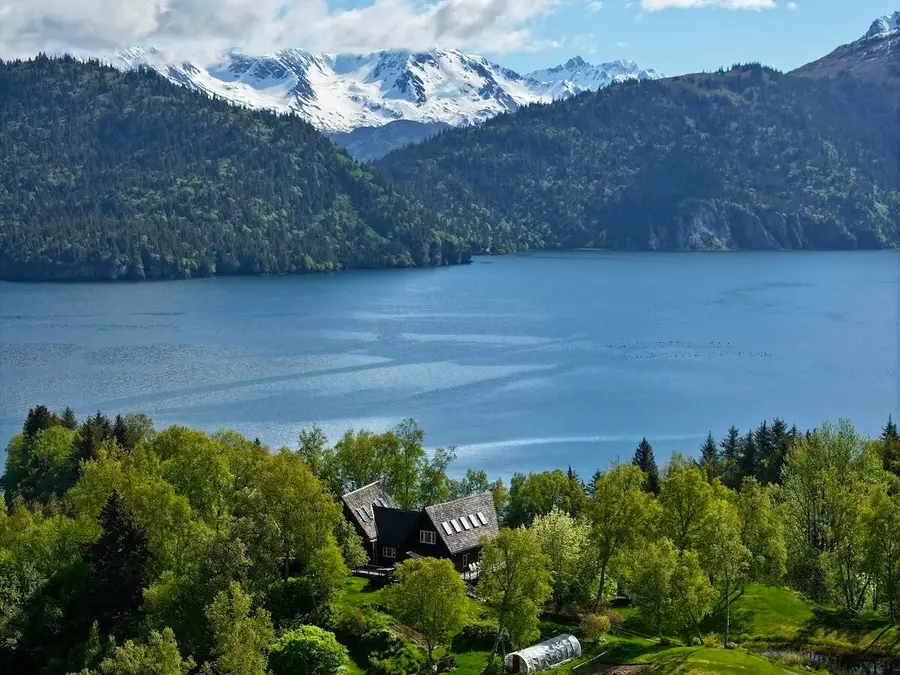 46514 Sidelinger Trail, Halibut Cove, AK 99603 - #2