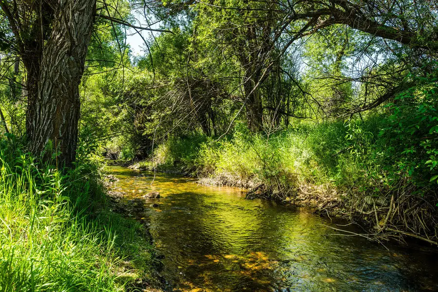 716 S Bridge Street, Dayton, WY 82836 - Image #3