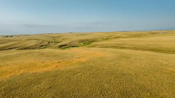 Wallows Creek, Buffalo, WY 82834