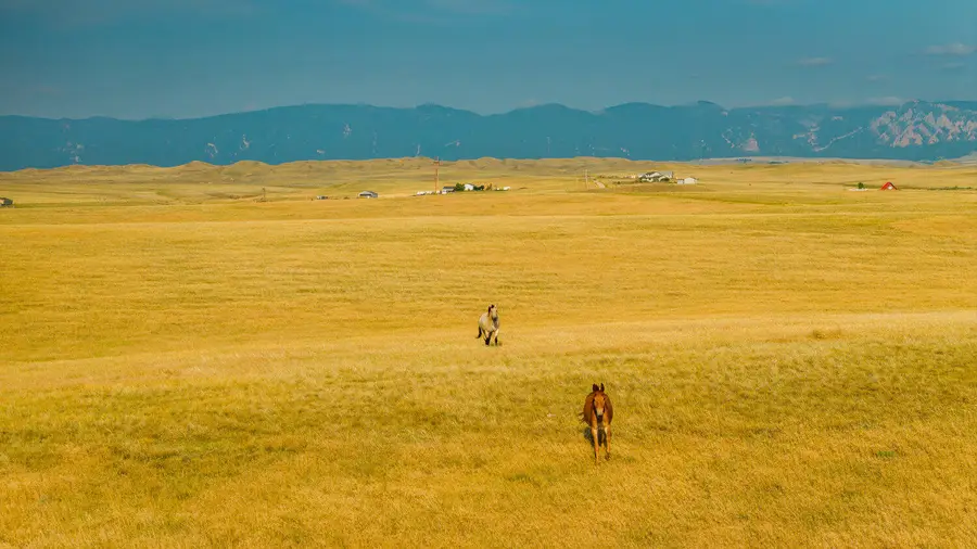 Wallows Creek, Buffalo, WY 82834 - Image #3