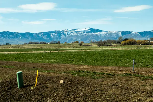 Bobcat Pass, Sheridan, WY 82801