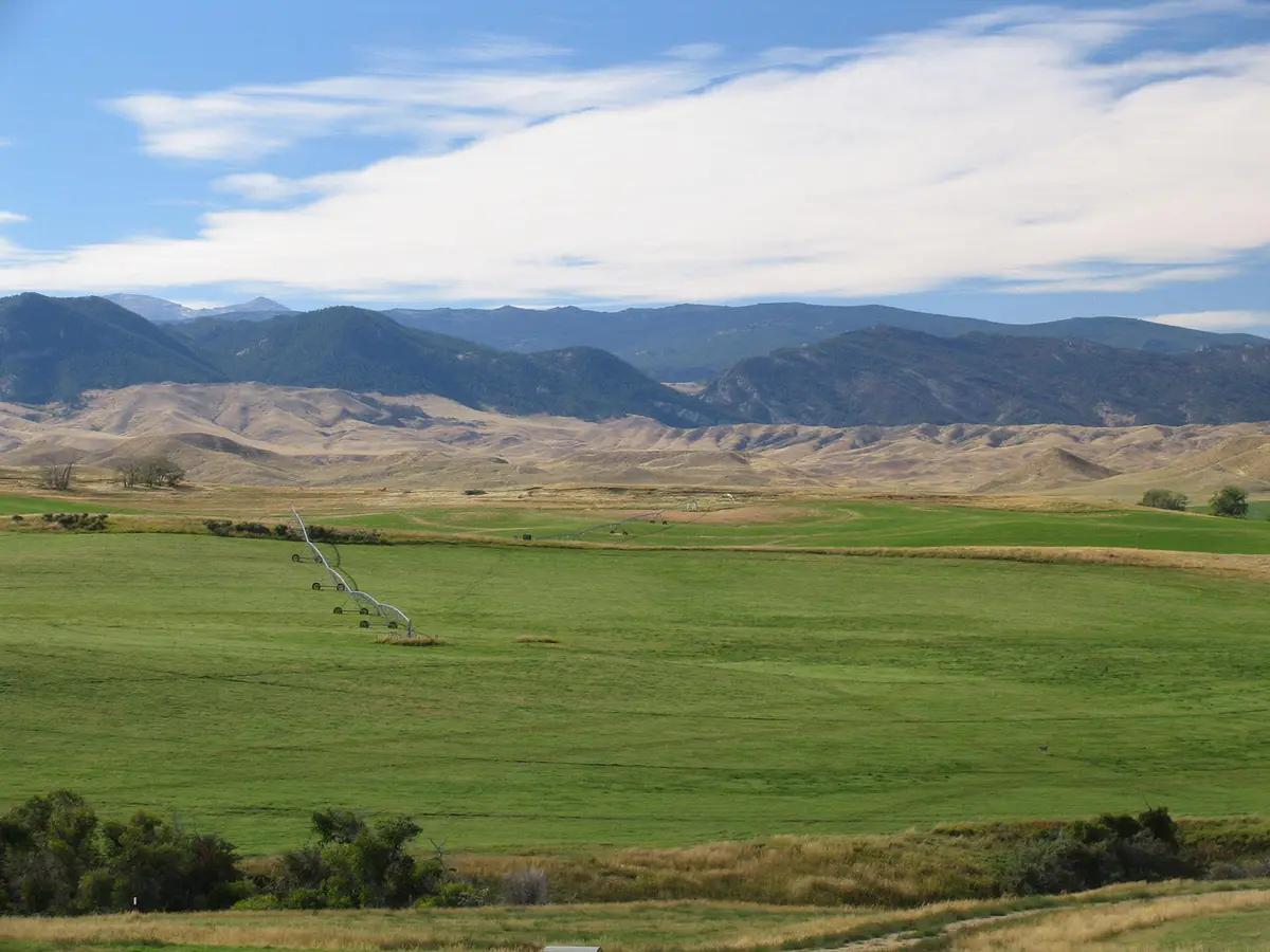 21 Hopkins Divide Loop, Buffalo, WY 82834 - #1