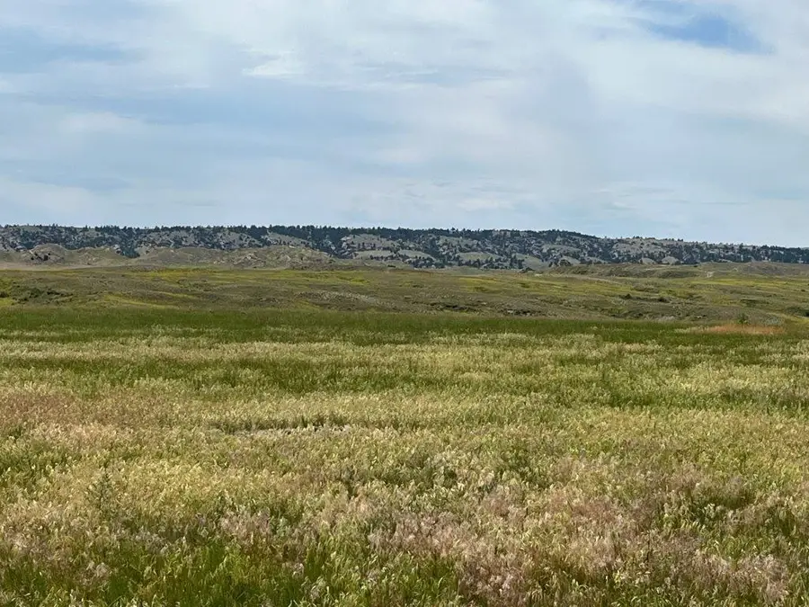 25 Gosney Road, Kaycee, WY 82639 - #3