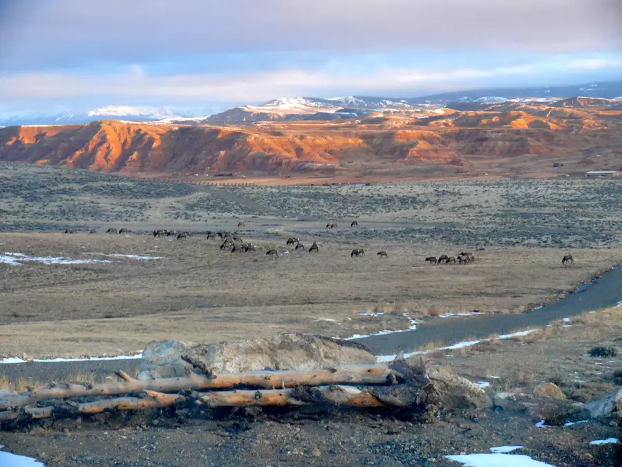 Lot 4 Flying Frog Lane, Dubois, WY 82513 - #2